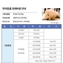 위례송파강아지분양르달링 | 군포, 의왕, 안산 강아지 장례 장례식장 애견 고양이 화장터 반려동물 화장장 확실히 차이가 납니다.
