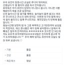 재미이모