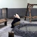 경주인쇄소