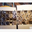 강산유치원 이미지