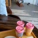 루몽드917 이미지