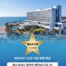 에이스원 티스토리