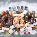 선암호수태권도 이미지