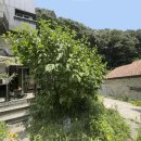 보통3리 경로당 이미지