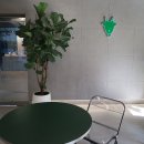 시흥연성동우체국 | 빌리고트 커피 로스터스, 시흥 갯골생태공원 근처 아기랑 갈 수 있는 카페