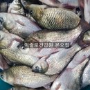 이슬로건강원 - 밀양시 중앙로 347 | 이슬로건강원
