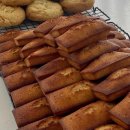 (주)쥬니쿠키 이미지