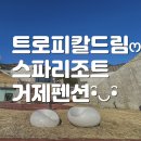 트로피칼드림리조트 | 거제 트로피칼드림 스파리조트 아보카도2 후기 :)
