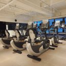 레디바디 이미지