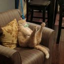 나루메디칼 이미지