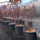 문헌농장 이미지