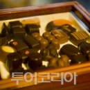 투어홀릭 이미지