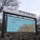 제주도립미술관 | 제주 실내 가볼만한곳 제주도립김창열미술관 할인 및 전시 후기