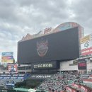 삼십팔점오 | 다시는 뛰고 싶지 않네