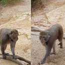 등산로 발견 이미지