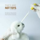 고려동물약품 이미지