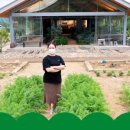 모하우스 이미지