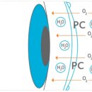 080안경원 이미지