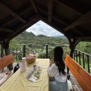 도심다원 | 하동 힐링 카페, 도심다원 정자 피크닉세트 대여 후기