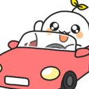 제주도닷컴