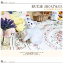 미니펫 강아지분양 고양이분양 부천점 이미지