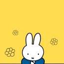 용봉커피