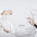 국가대표 S 태권도 이미지