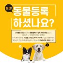 삼척동물병원 이미지