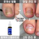 레푸스 울산점 이미지