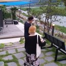 감성별빛투어 이미지