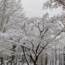 능동공원 이미지