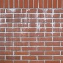 백화가스 이미지