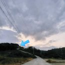 효니네 민박 이미지