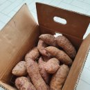 신해남농장 이미지