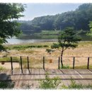 괴산읍 어린이놀이터 이미지