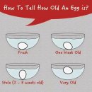 오래된 계란 확인법 . jpg 이미지