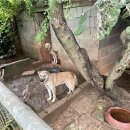 달님농장 이미지