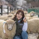 유라이크
