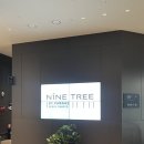 나인트리 바이 파르나스 서울 판교 수영장 이미지