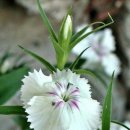 멋진하루 이미지