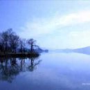 장미앨범사진기획 이미지