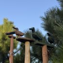 현대수산회센터 이미지