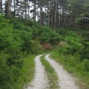 바우길 11구간 이미지