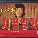 씨엔필 네이버블로그