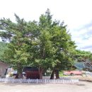 유천1리마을회관 이미지