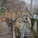 YOLO갈맷길 8코스 | 부산 첫눈을 즐기며 제석골에서 대신공원까지