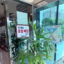 장량로 | 포항 장성동 맛집 화담면옥 놀이방 있는 해물갈비찜 후기