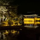 힐스톤애견풀빌라 | 경주 애견 동반 펜션 추천 힐스톤 풀빌라 가족들과 함께 여행 다녀왔어요