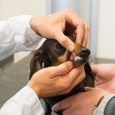 동행동물병원 이미지