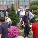 천안청수초등학교 이미지